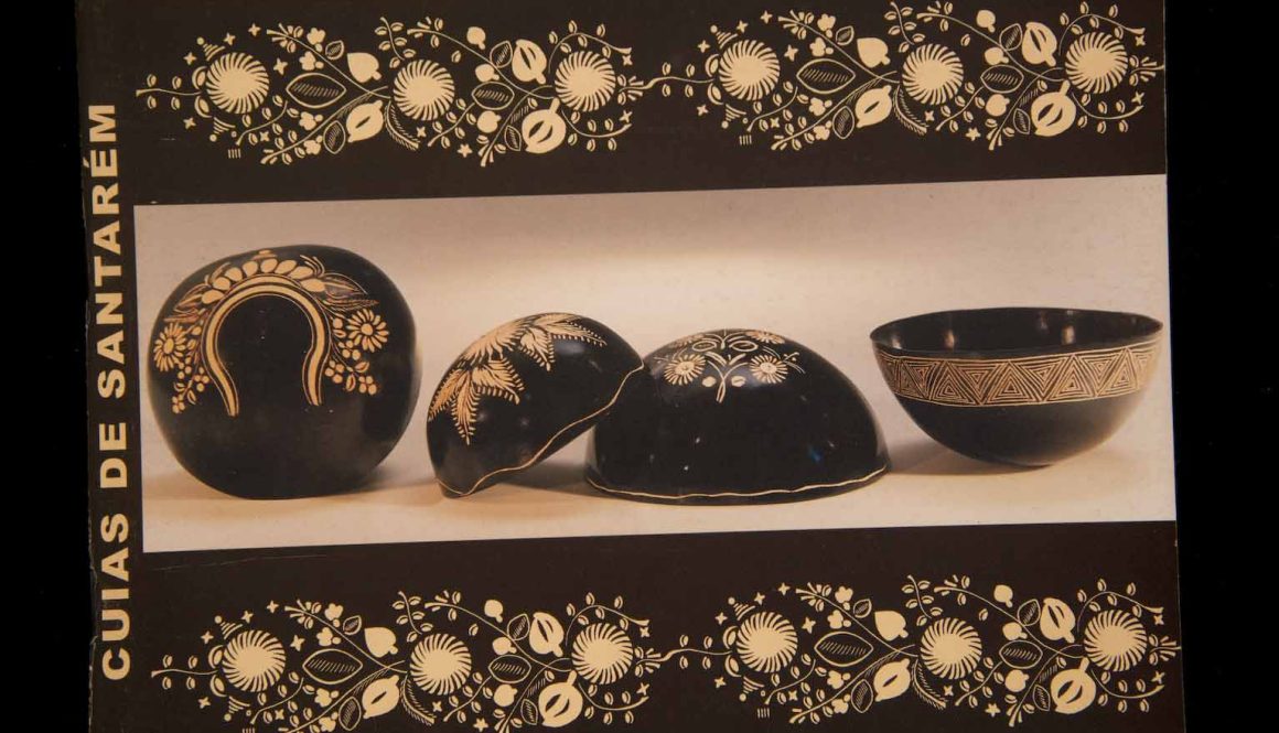 Capas dos Catálogos das SAPs