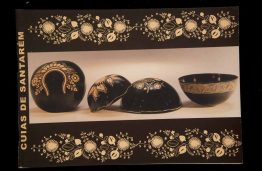 Capas dos Catálogos das SAPs SAP 108