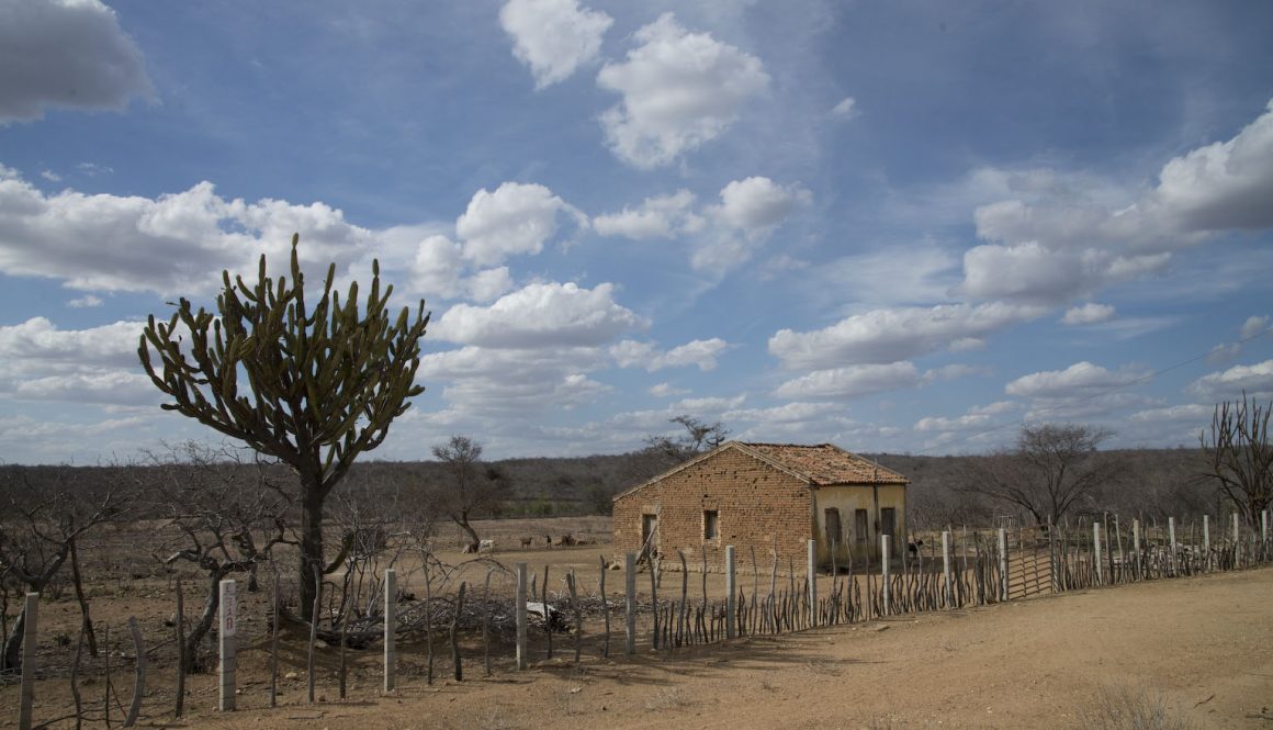 São João do Tigre, Paraíba.