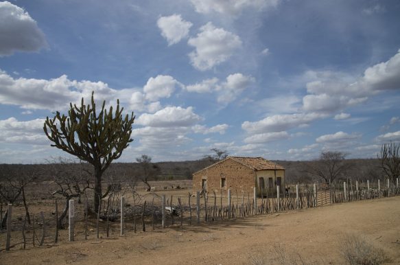 São João do Tigre, Paraíba. São João do Tigre, Paraíba.