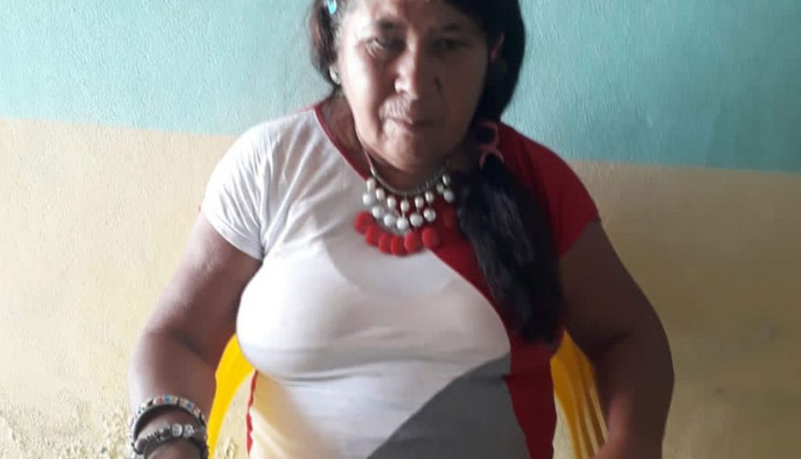 Maria-de-Lurdes-Pinheiro_Caraí_SAP199