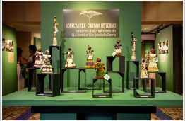 DSC_1586 copiar SAP 211