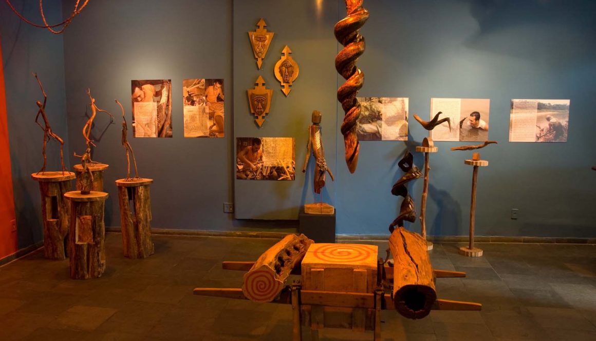 Gesileu Salvatore: Escultor da Floresta SAP 127