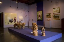 Imagens do São Francisco SAP 147