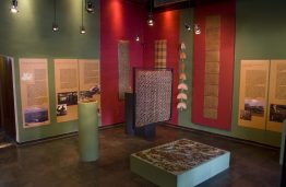 Trançados e entalhes de Novo Airão SAP 157