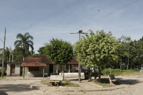 Cordas e percussões do fandango caiçara - SP Cordas e percussões do fandango caiçara - SP