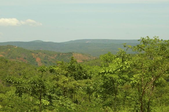 Mobiliário e instrumentos musicais de Chapada do Norte Mobiliário e instrumentos musicais de Chapada do Norte