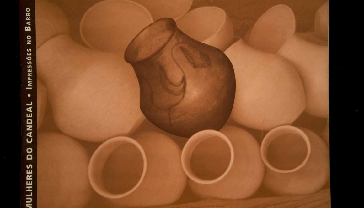 Capas dos Catálogos das SAPs