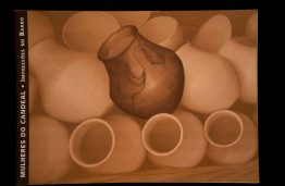 Capas dos Catálogos das SAPs SAP 076