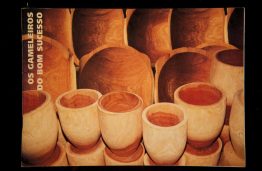 Capas dos Catálogos das SAPs SAP 104