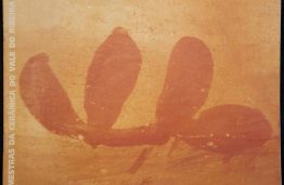 Capas dos Catálogos das SAPs SAP 105