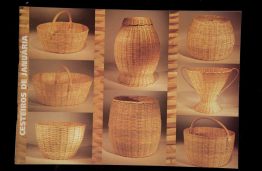 Capas dos Catálogos das SAPs SAP 110