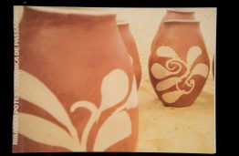 Capas dos Catálogos das SAPs SAP 113