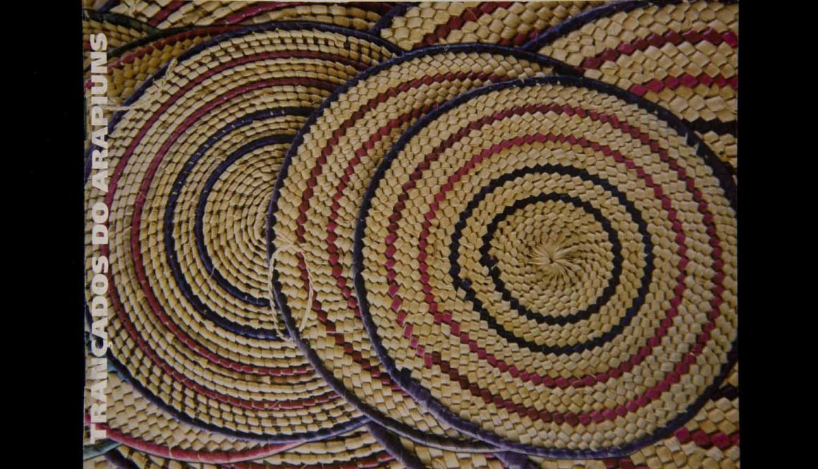 Capas dos Catálogos das SAPs