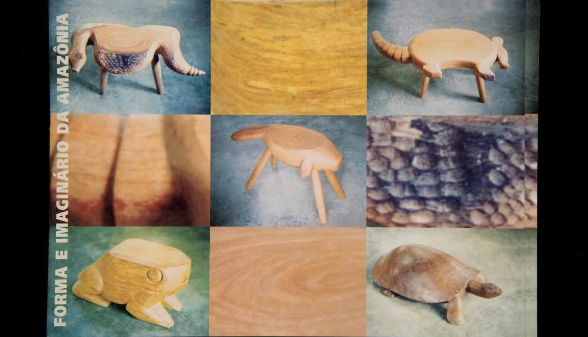 Capas dos Catálogos das SAPs