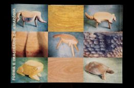 Capas dos Catálogos das SAPs SAP 125