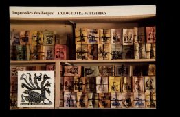 Capas dos Catálogos das SAPs SAP 154