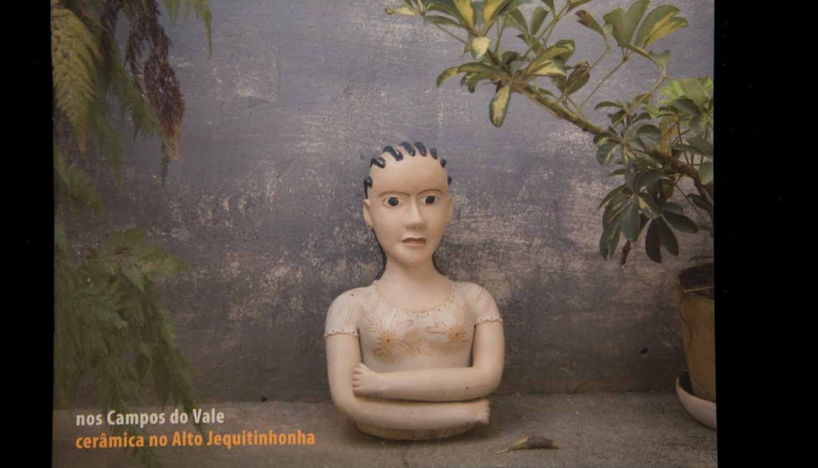 Capas dos Catálogos das SAPs