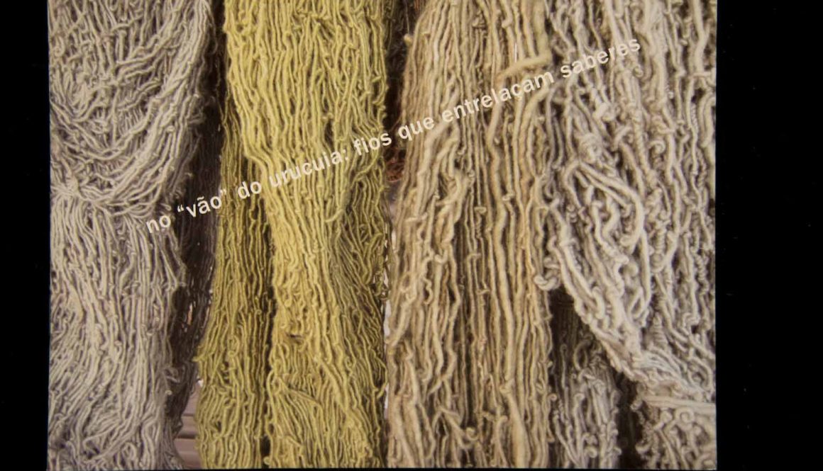 Capas dos Catálogos das SAPs