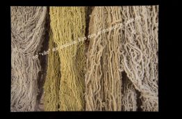 Capas dos Catálogos das SAPs SAP 162