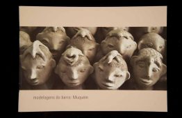 Capas dos Catálogos das SAPs SAP 183