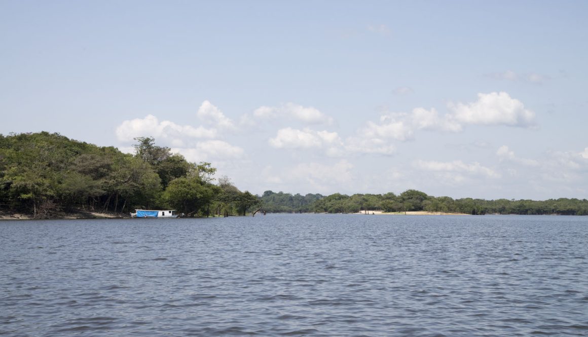 SAP 191 -Do Barro e da Castanha