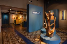 Aberaldo e o rio SAP 208