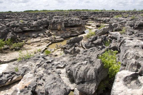 Sítio Arqueológico do Lajedo da Soledade, Apodí, Rio Grande do Norte