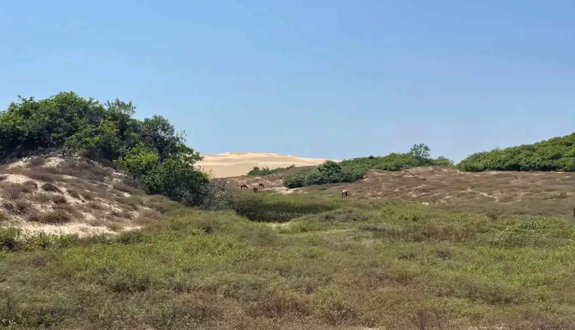 Ilha Grande de Santa Isabel, Parnaíba, PI