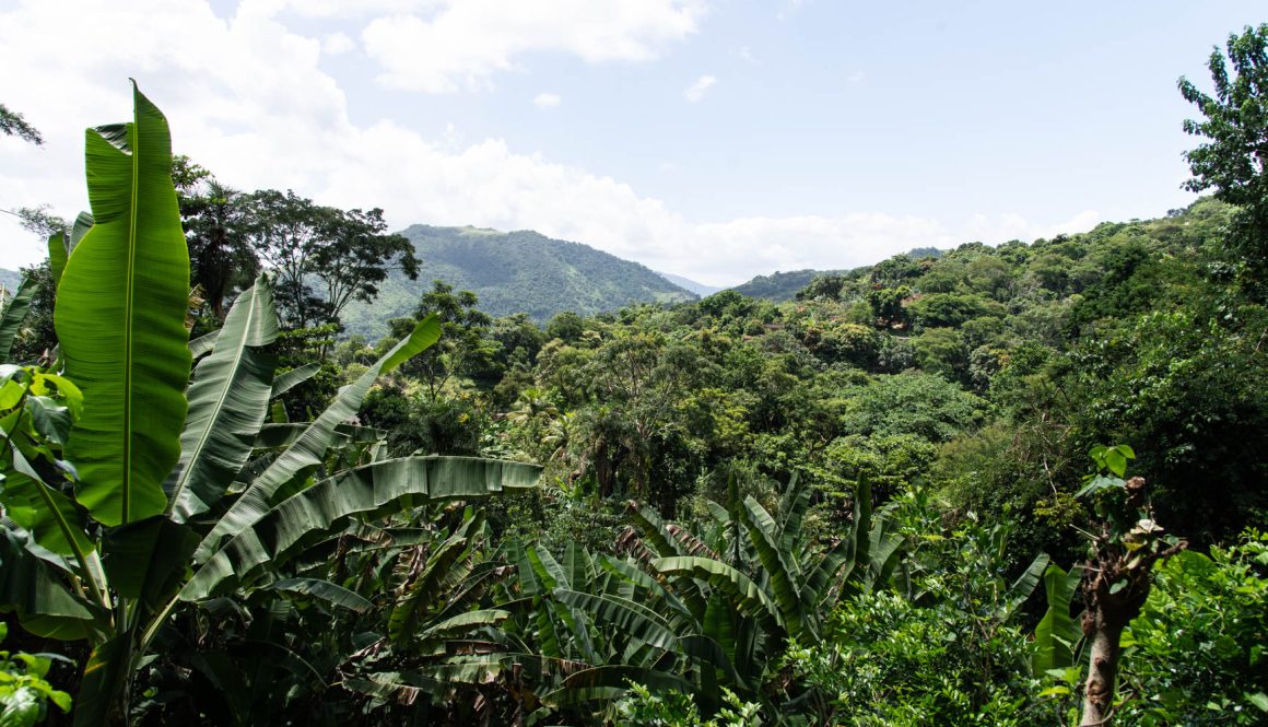 Rio da Prata- Campo Grande