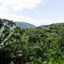 Rio da Prata- Campo Grande