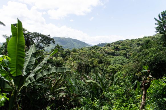 Rio da Prata- Campo Grande Rio da Prata- Campo Grande