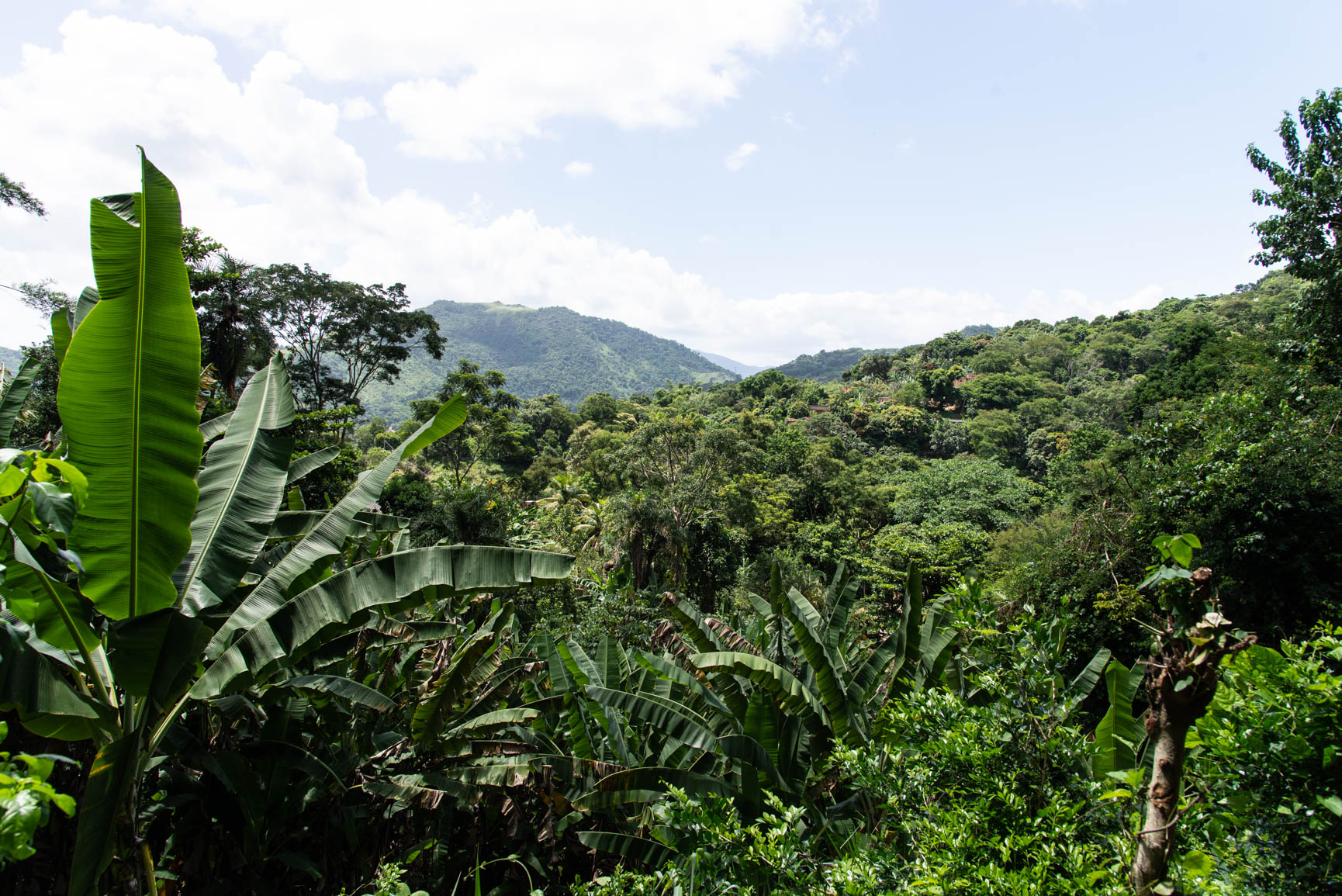 Maciço da Pedra Branca – RJ